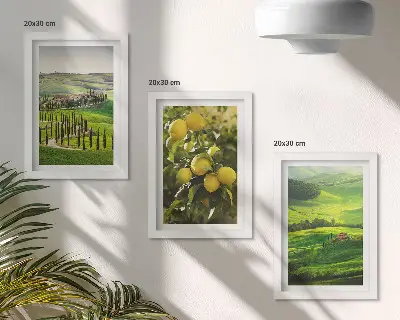 Ensemble de 3 tableaux paysages italiens avec agrumes et collines verdoyantes