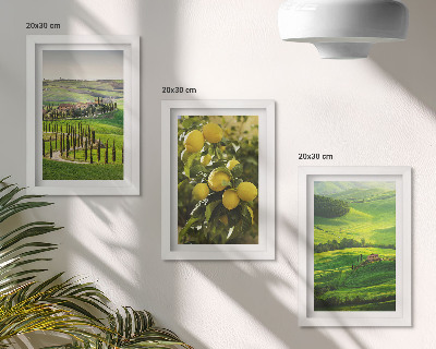 Ensemble de 3 tableaux Paysages italiens avec des agrumes et des collines verdoyantes