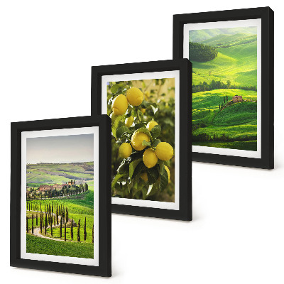 Ensemble de 3 tableaux Paysages italiens avec des agrumes et des collines verdoyantes