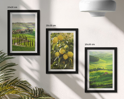 Ensemble de 3 tableaux Paysages italiens avec des agrumes et des collines verdoyantes