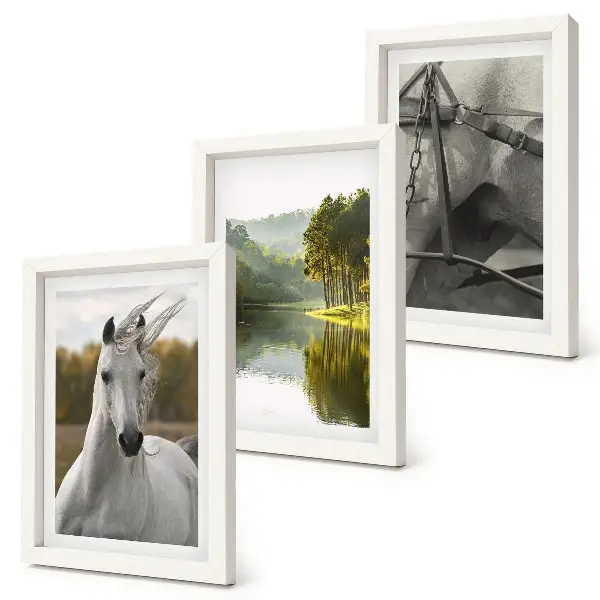 Lot de 3 tableaux représentant des chevaux blancs au bord d'une rivière dans un paysage naturel