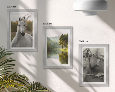 Lot de 3 tableaux Chevaux blancs au bord de la rivière, paysage naturel