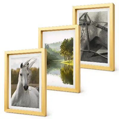 Lot de 3 tableaux représentant des chevaux blancs au bord d'une rivière dans un paysage naturel