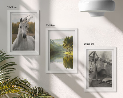 Lot de 3 tableaux Chevaux blancs au bord de la rivière, paysage naturel