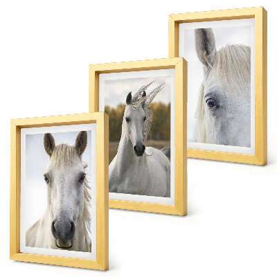Lot de 3 tableaux Chevaux blancs dans diverses poses sur fond naturel