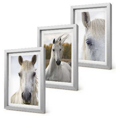 Lot de 3 tableaux Chevaux blancs dans diverses poses sur fond naturel