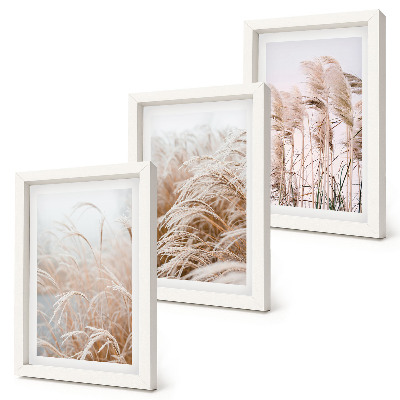 Lot de 3 tableaux Des champs d'herbe aux délicates nuances de brun et de beige