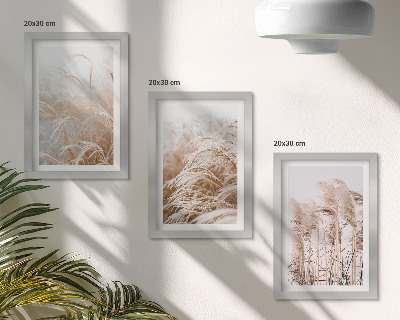Lot de 3 tableaux Des champs d'herbe aux délicates nuances de brun et de beige