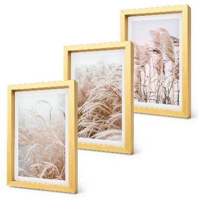 Lot de 3 tableaux Des champs d'herbe aux délicates nuances de brun et de beige