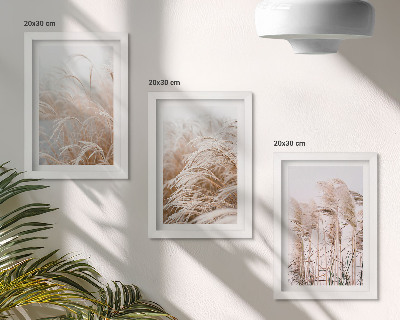 Lot de 3 tableaux Des champs d'herbe aux délicates nuances de brun et de beige