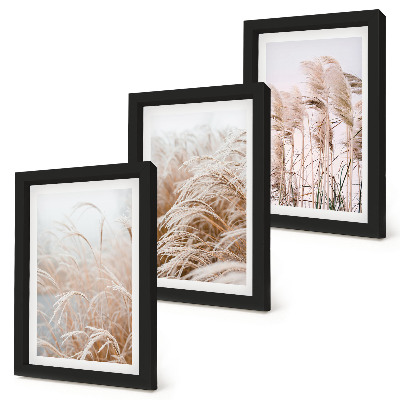 Lot de 3 tableaux Des champs d'herbe aux délicates nuances de brun et de beige