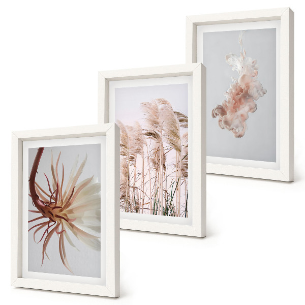 Ensemble de 3 tableaux Fleurs et herbes sur fond clair dans un ensemble harmonieux
