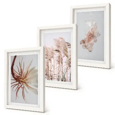 Ensemble de 3 tableaux représentant des fleurs et herbes sur fond clair