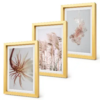 Ensemble de 3 tableaux représentant des fleurs et herbes sur fond clair