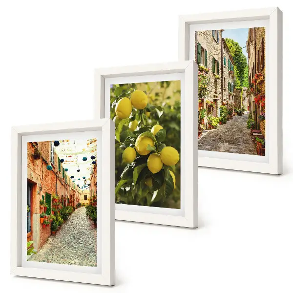 Lot de 3 tableaux représentant des rues charmantes avec des fleurs et des citrons en arrière-plan