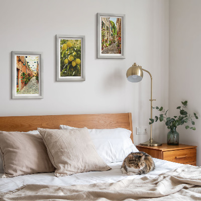 Lot de 3 tableaux Des rues charmantes avec des fleurs et des citrons en arrière-plan