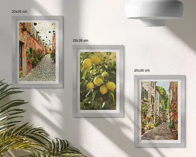 Lot de 3 tableaux représentant des rues charmantes avec des fleurs et des citrons en arrière-plan