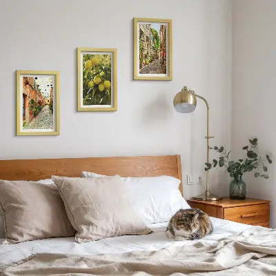 Lot de 3 tableaux représentant des rues charmantes avec des fleurs et des citrons en arrière-plan