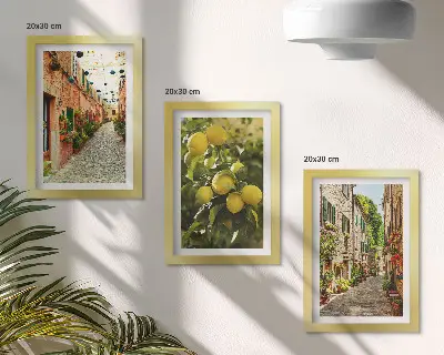 Lot de 3 tableaux représentant des rues charmantes avec des fleurs et des citrons en arrière-plan