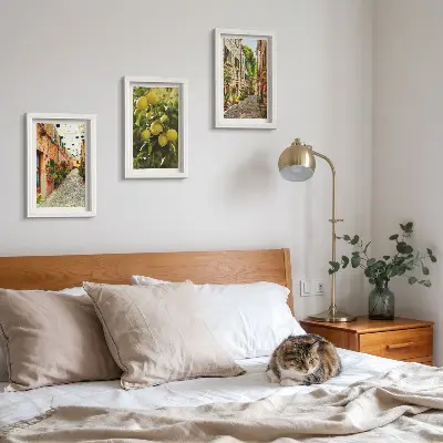 Lot de 3 tableaux représentant des rues charmantes avec des fleurs et des citrons en arrière-plan