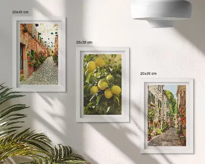 Lot de 3 tableaux représentant des rues charmantes avec des fleurs et des citrons en arrière-plan