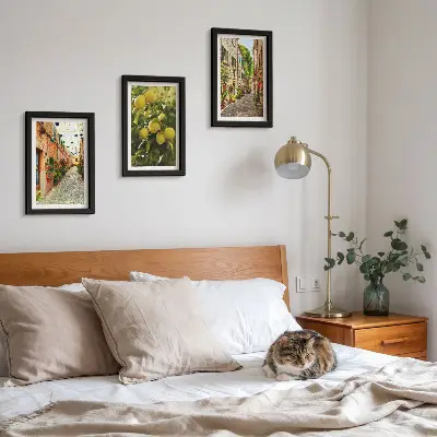 Lot de 3 tableaux représentant des rues charmantes avec des fleurs et des citrons en arrière-plan
