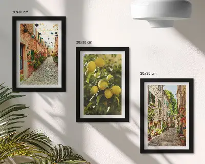 Lot de 3 tableaux représentant des rues charmantes avec des fleurs et des citrons en arrière-plan