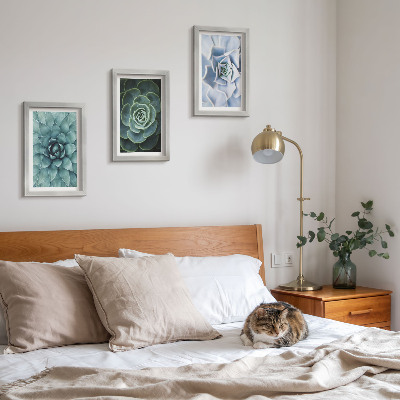 Lot de 3 tableaux Plantes succulentes dans des tons de vert et de turquoise