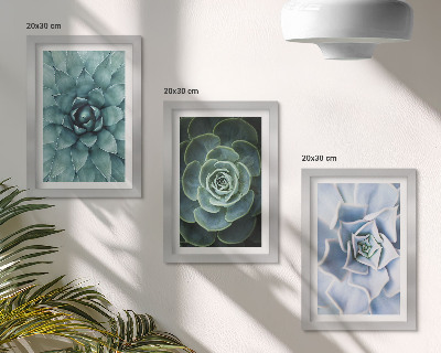 Lot de 3 tableaux Plantes succulentes dans des tons de vert et de turquoise