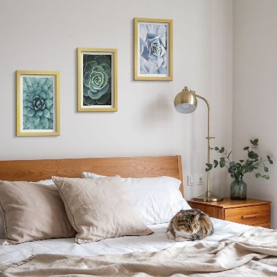 Lot de 3 tableaux Plantes succulentes dans des tons de vert et de turquoise