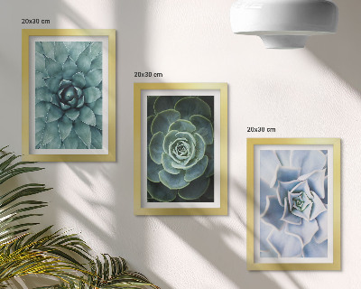 Lot de 3 tableaux Plantes succulentes dans des tons de vert et de turquoise