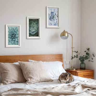 Lot de 3 tableaux Plantes succulentes dans des tons de vert et de turquoise