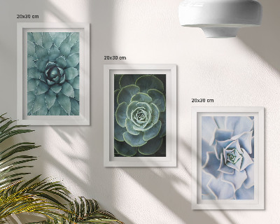 Lot de 3 tableaux Plantes succulentes dans des tons de vert et de turquoise