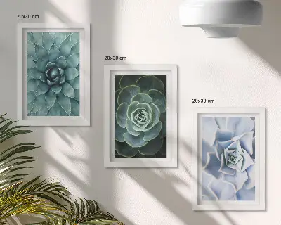 Lot de 3 tableaux plantes succulentes dans des tons de vert et turquoise