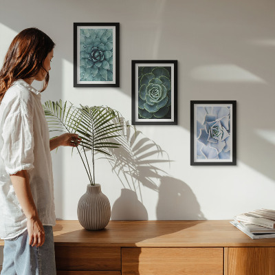 Lot de 3 tableaux Plantes succulentes dans des tons de vert et de turquoise