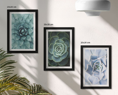 Lot de 3 tableaux Plantes succulentes dans des tons de vert et de turquoise