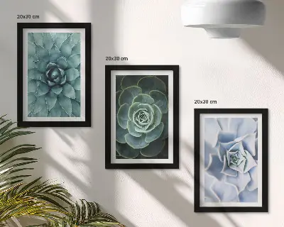 Lot de 3 tableaux plantes succulentes dans des tons de vert et turquoise