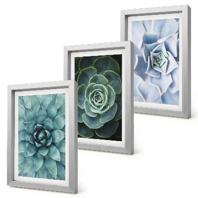 Lot de 3 tableaux Plantes succulentes dans des tons de vert et de turquoise