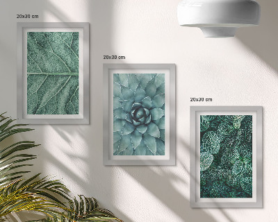Ensemble de 3 tableaux Gros plans de plantes succulentes et de feuilles