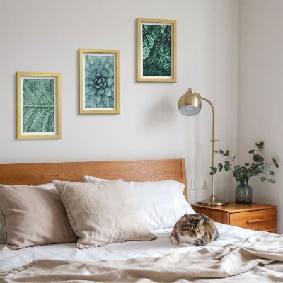 Ensemble de 3 tableaux Gros plans de plantes succulentes et de feuilles