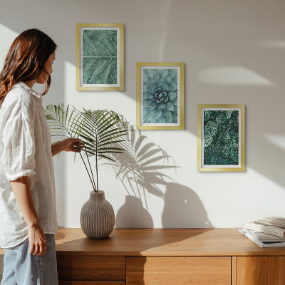 Ensemble de 3 tableaux Gros plans de plantes succulentes et de feuilles