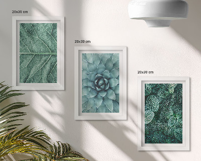 Ensemble de 3 tableaux Gros plans de plantes succulentes et de feuilles