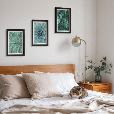 Ensemble de 3 tableaux Gros plans de plantes succulentes et de feuilles