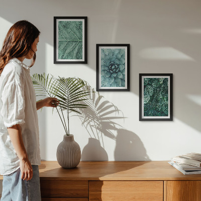Ensemble de 3 tableaux Gros plans de plantes succulentes et de feuilles