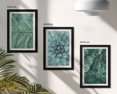 Ensemble de 3 tableaux Gros plans de plantes succulentes et de feuilles