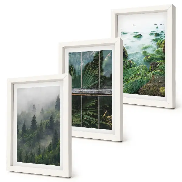 Mur de cadres avec forêt brumeuse, rive de rivière et serre végétale