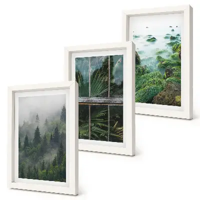 Mur de cadres avec forêt brumeuse, rive de rivière et serre végétale