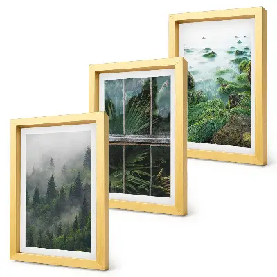 Mur de cadres avec forêt brumeuse, rive de rivière et serre végétale