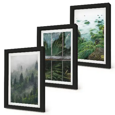 Mur de cadres avec forêt brumeuse, rive de rivière et serre végétale