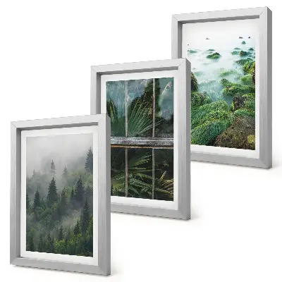 Mur de cadres avec forêt brumeuse, rive de rivière et serre végétale